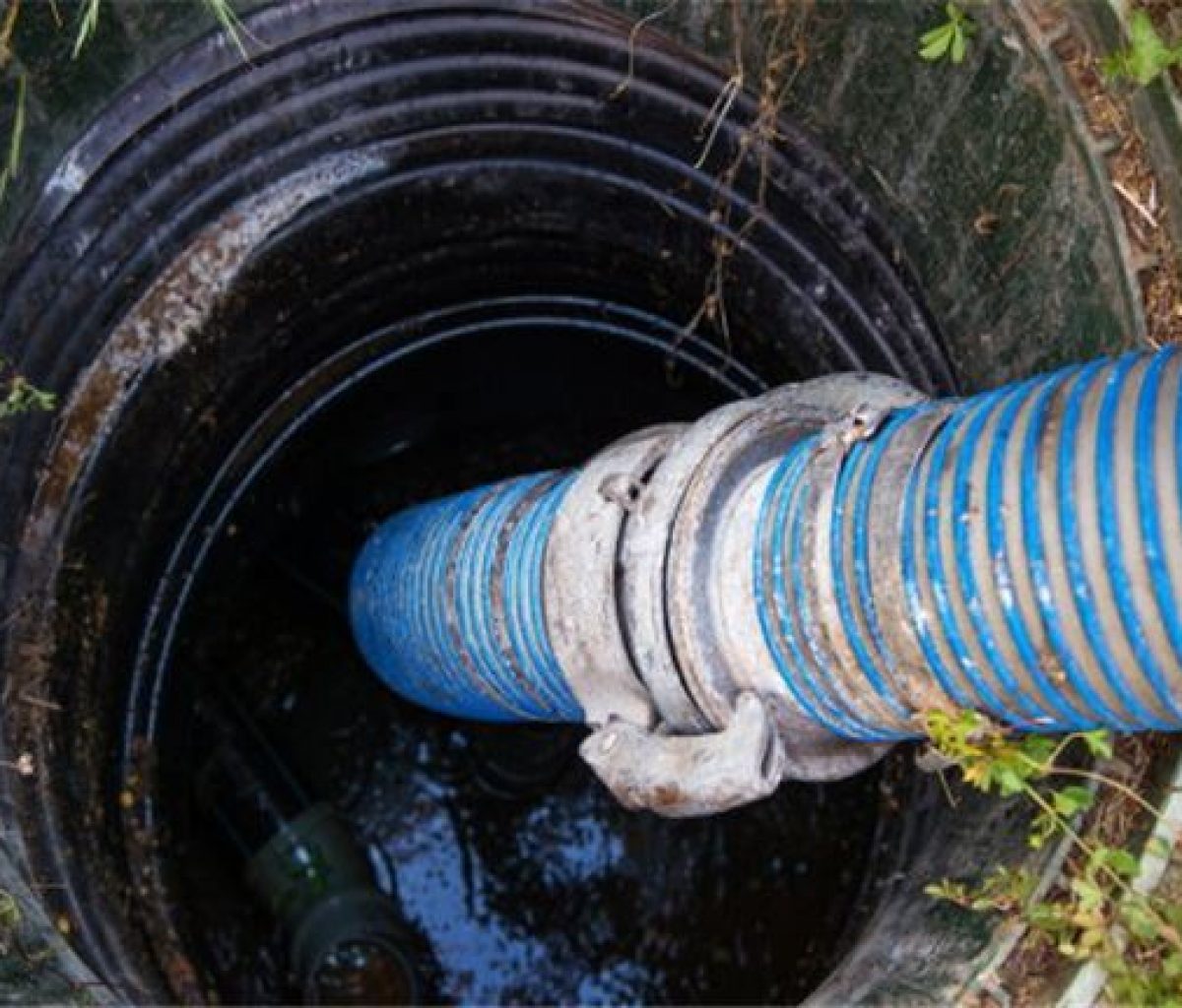 d8c52665-93c0-4cbe-8e3a-2c24149ffec6-W768